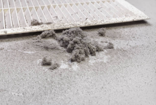 Best Commercial HVAC Duct Cleaning  in Sidy, NE